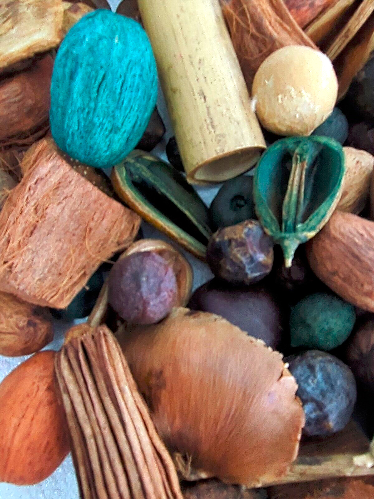 Dried Pods Bamboo Seeds Coconut Husk Table Scatter Crafts Wreaths Vase Filler