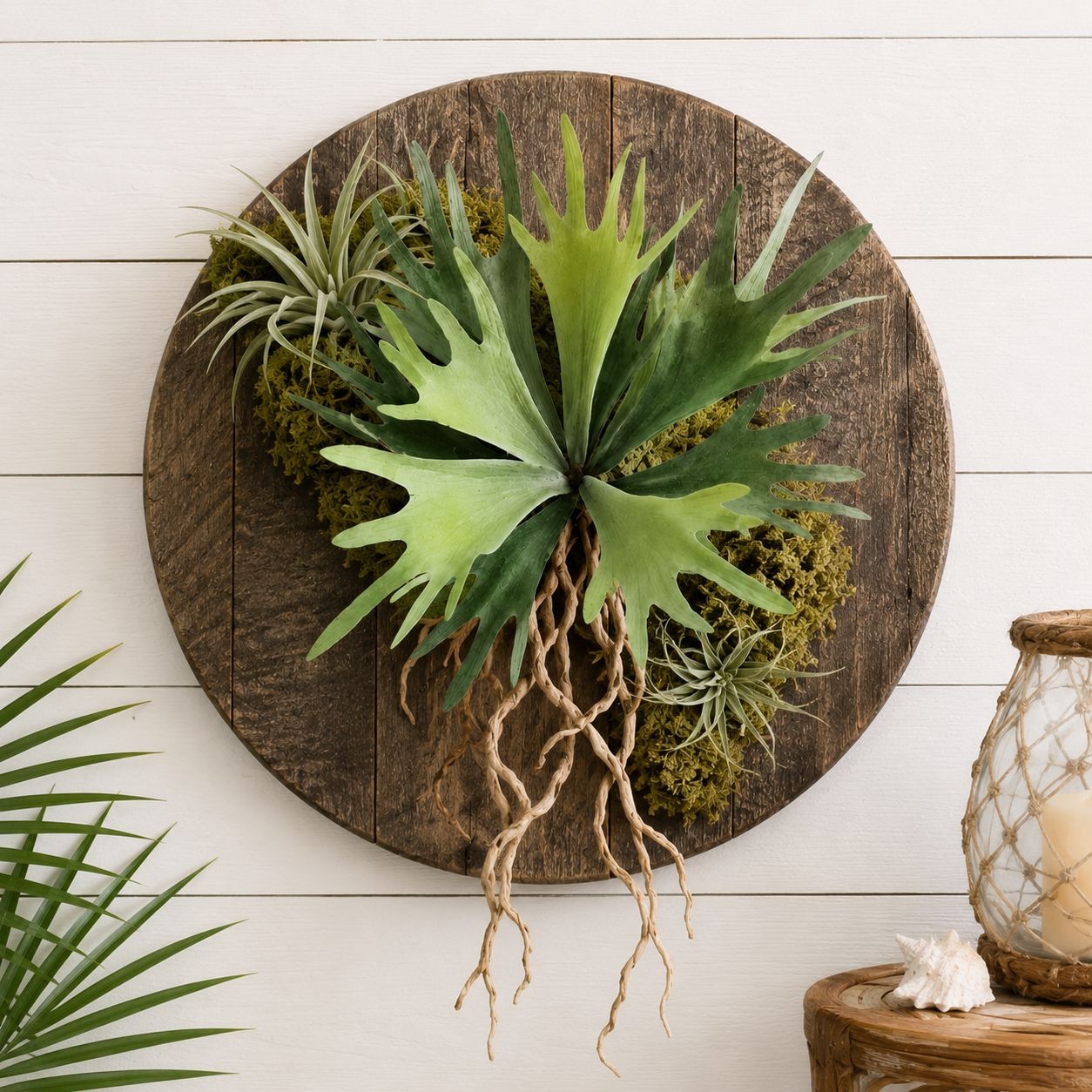 Artificial Staghorn Fern Faux Fern Wall Decor Mounted Fern Tropical Greenery Coa