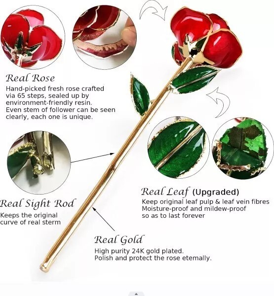 Great Easter Gift: Gold Plated Real Rose Birthday Gift with Box