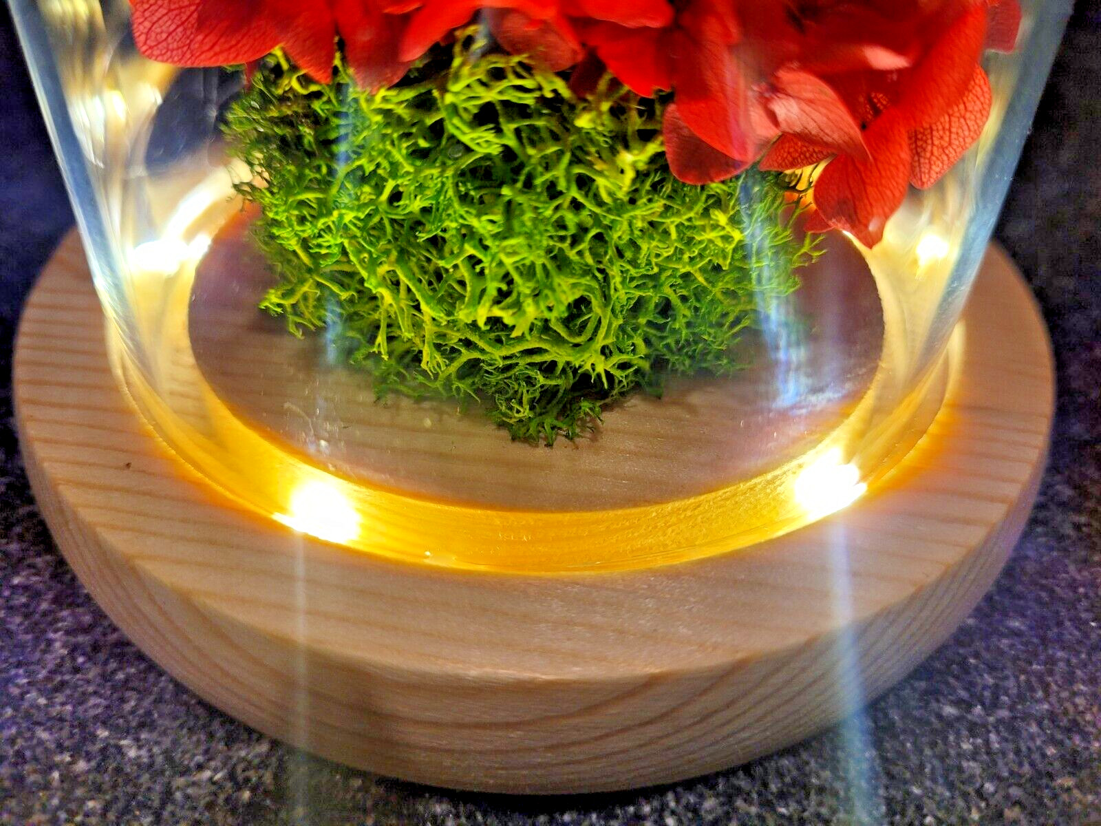 Flower Decoration Glass Cover Wooden Base Valentine’s Day Gift for Girlfriend’