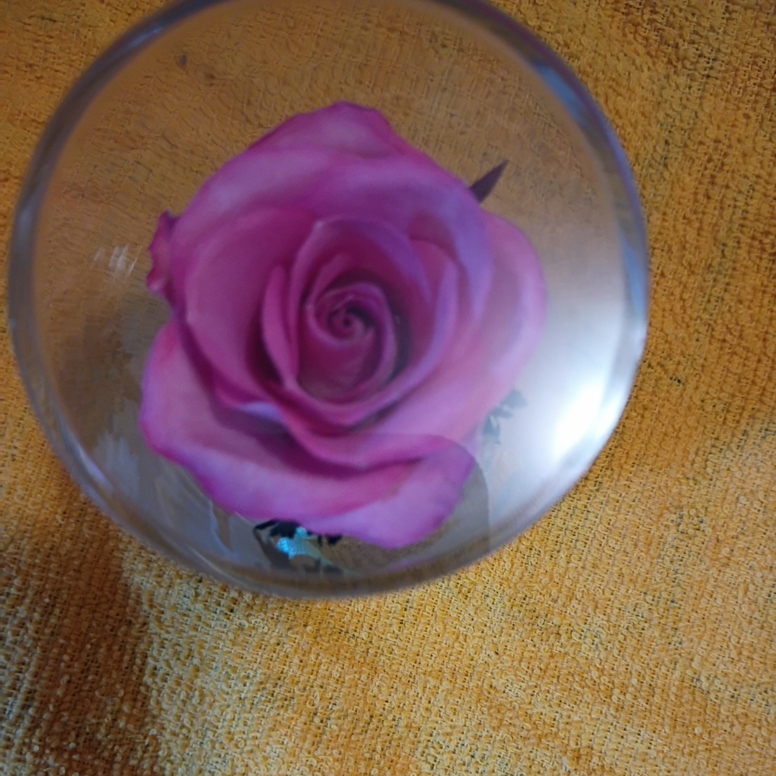 Beautiful Vintage Preserved Flowers Handmade Real Orchids & Roses Sealed Glass