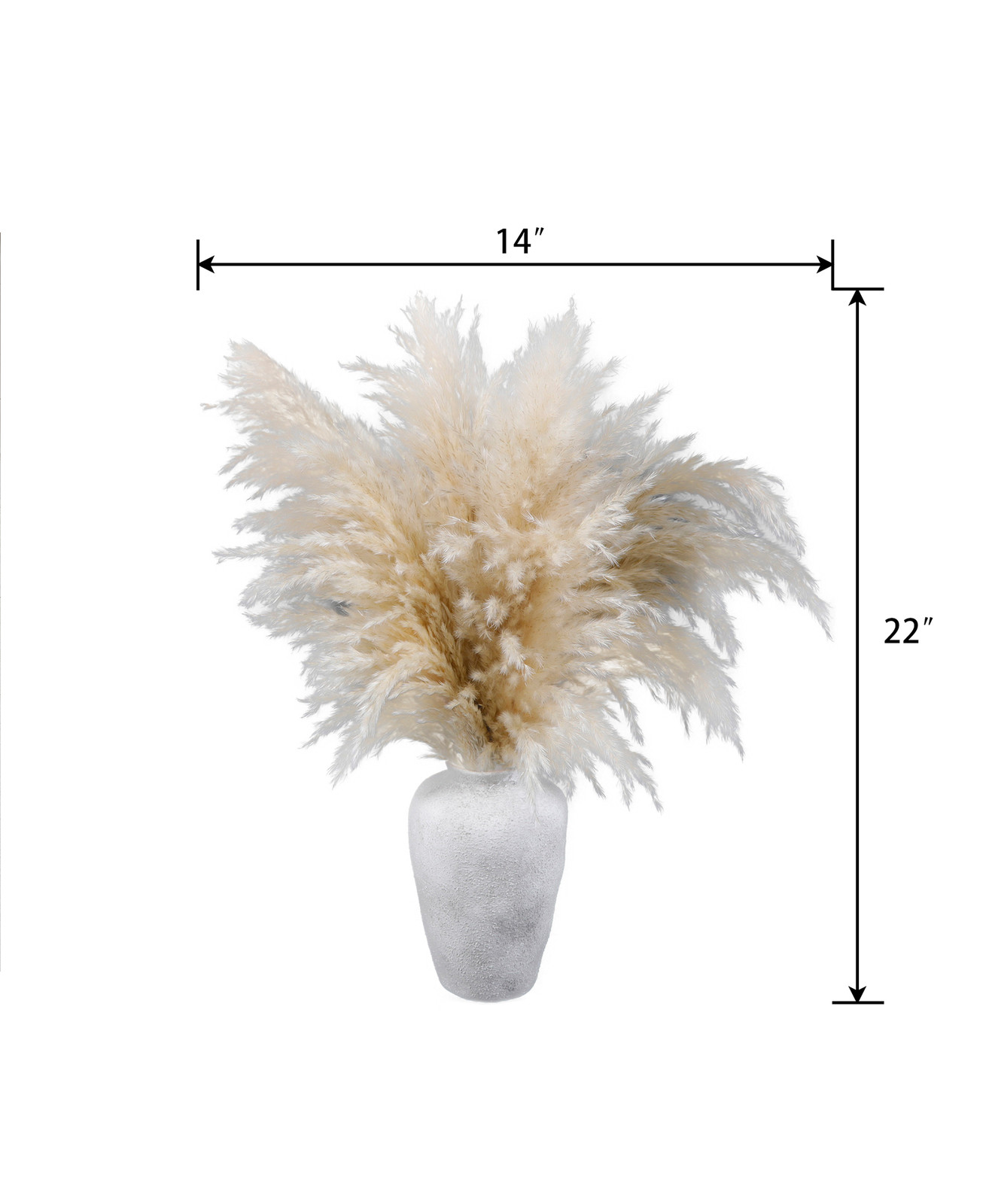 22-Inch Pampas Grass Arrangement in Natural Ceramic Vase for Modern or Boho Spac