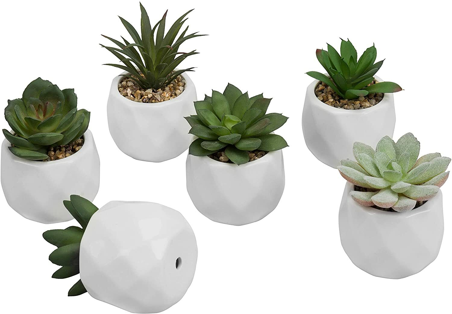 Mini Assorted Artificial Succulents in White Geometric Ceramic Pots, Set of 6