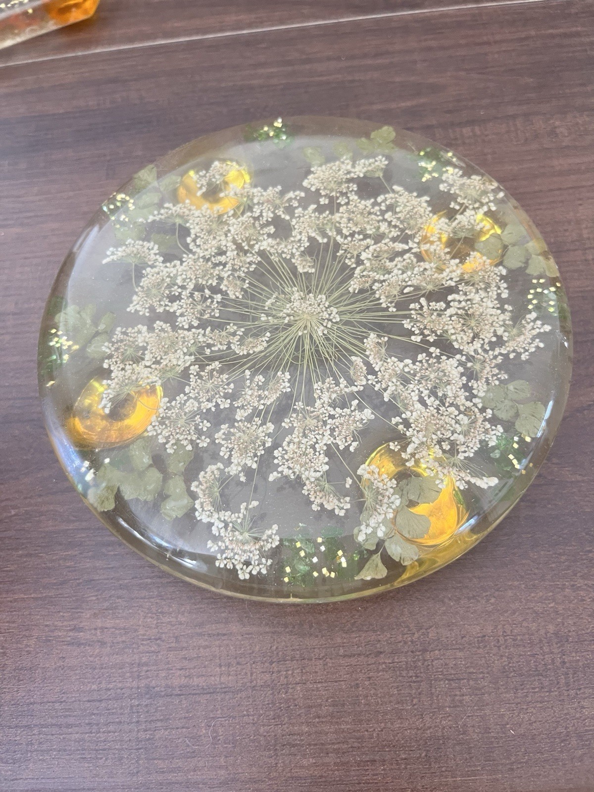 Vtg MCM 70’s retro lucite trivet hot pad Coaster dried pressed flowers Set Of 2