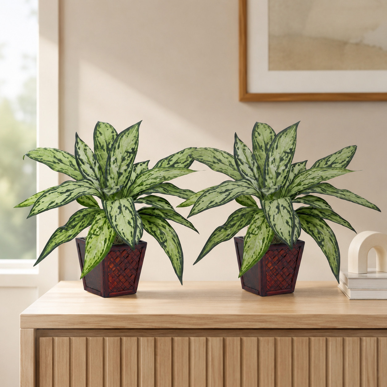 Silver Queen Silk Plant (Set of 2)
