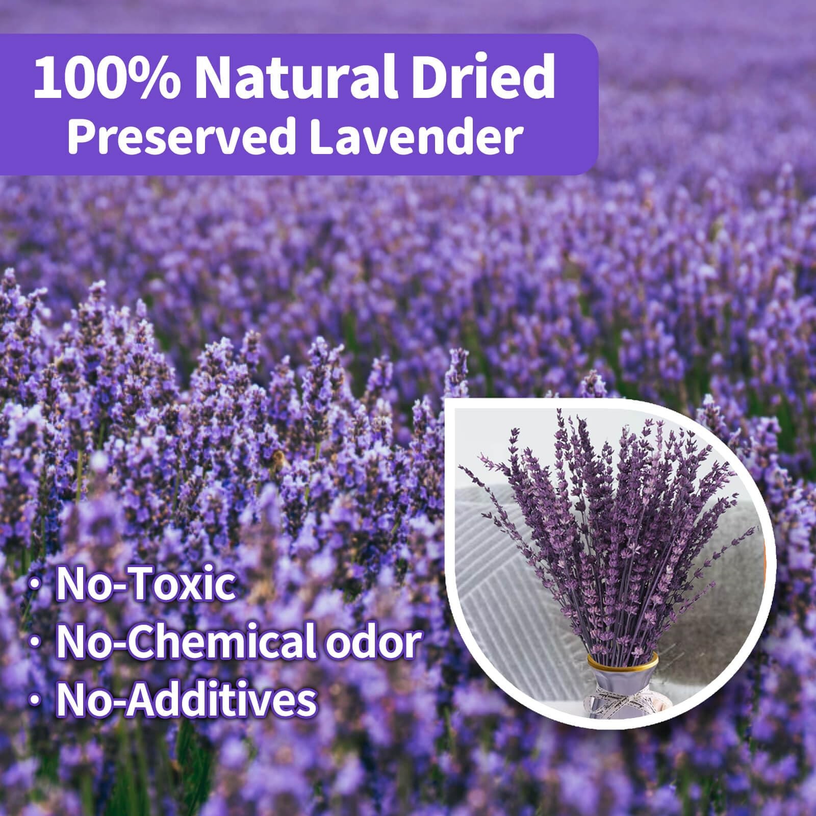 Elegant Dried Lavender Bouquet 15-17 Inches Preserved Purple Flowers for Home