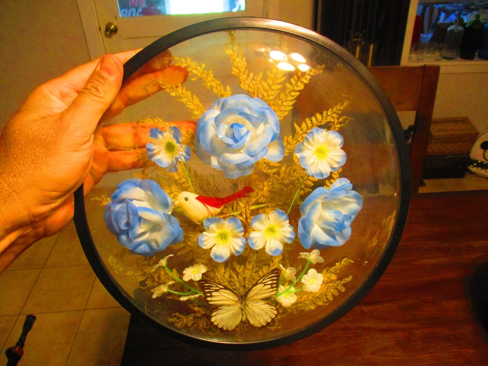 Lighted Butterfly bird flowers round encased 11.5” plastic display artwork