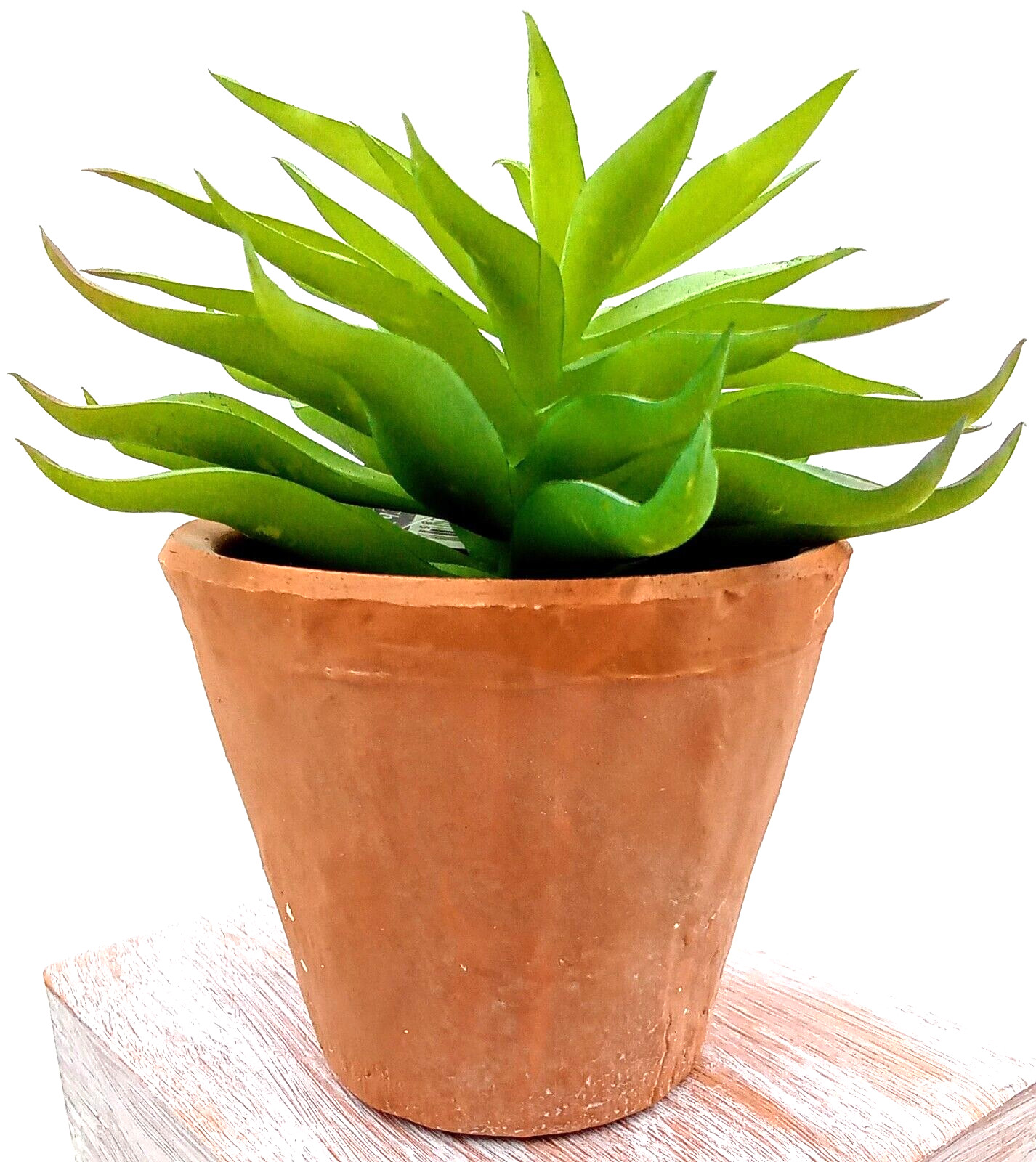 Succulent Clay Pot Planter Artificial Faux Dirt Plastic Green Floral Indoor 6″
