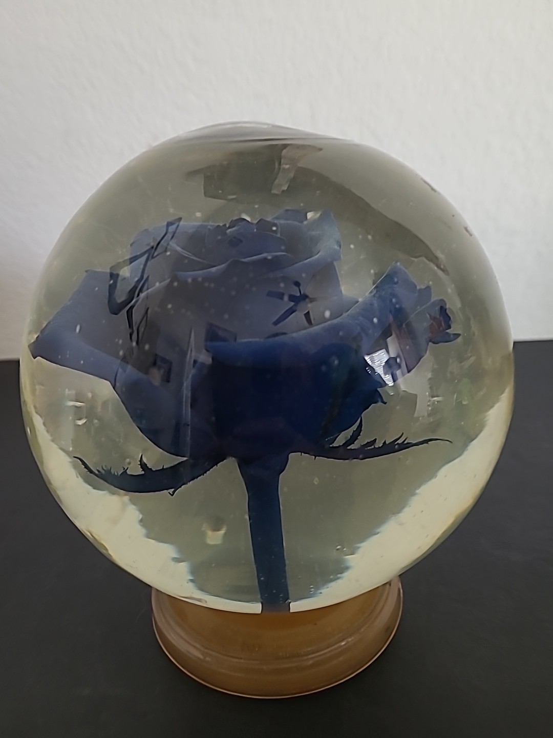 Vintage Blue Crimp Rose Pedestal Preserved In Glass and Liquid Real 4LBS