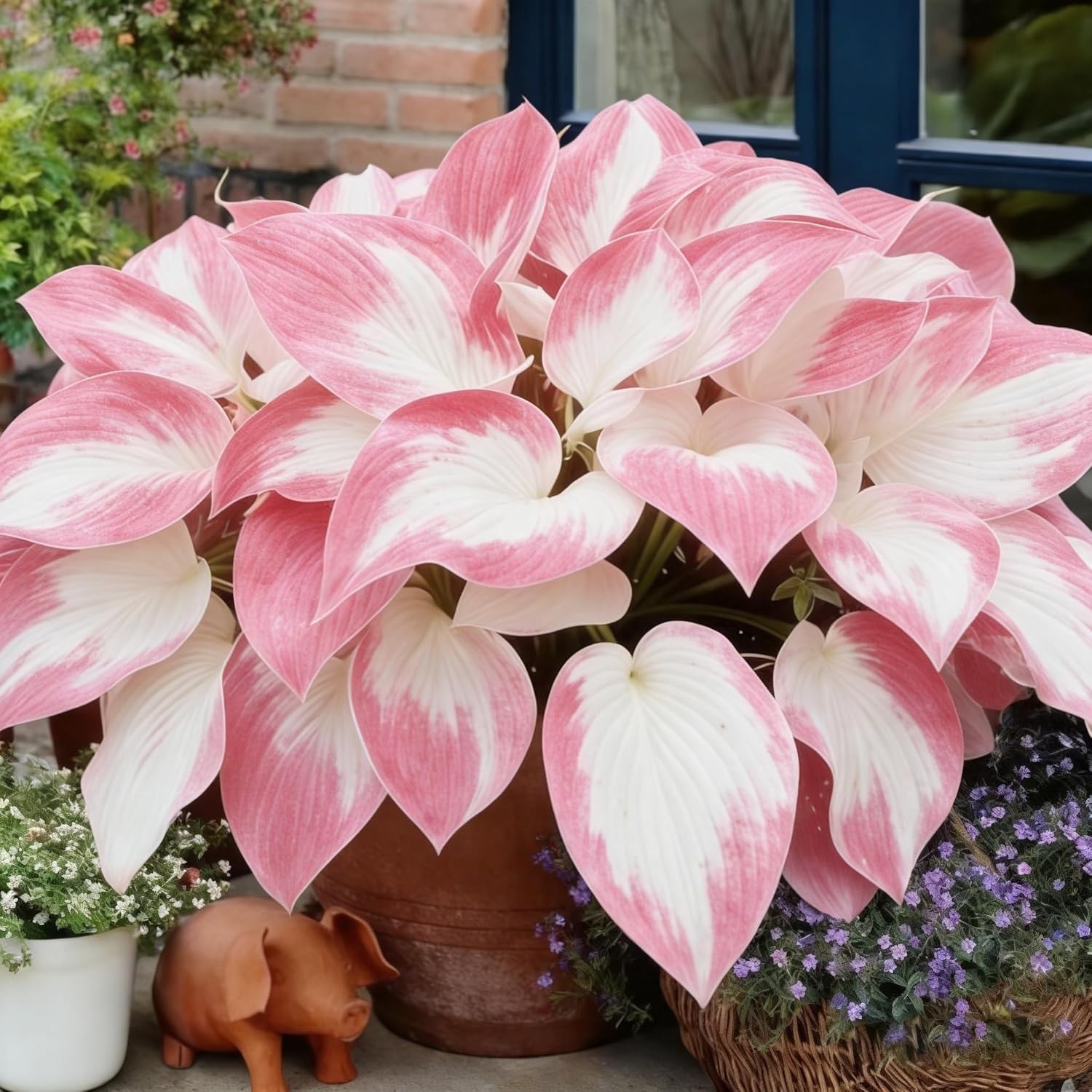 Mixrug Hosta Seeds for Planting, 200+pcs Rare Perennial Hosta Flower Seeds, Non-