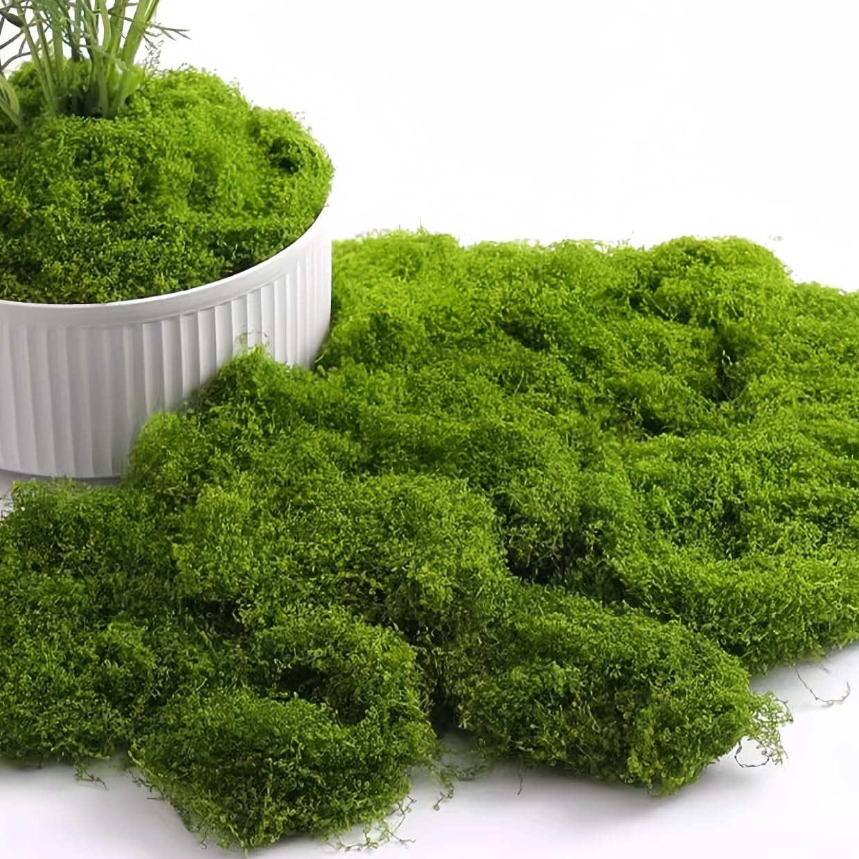 16OZ Artificial Moss for Crafts Decorative Artificial Faux Moss for Plant Cra…