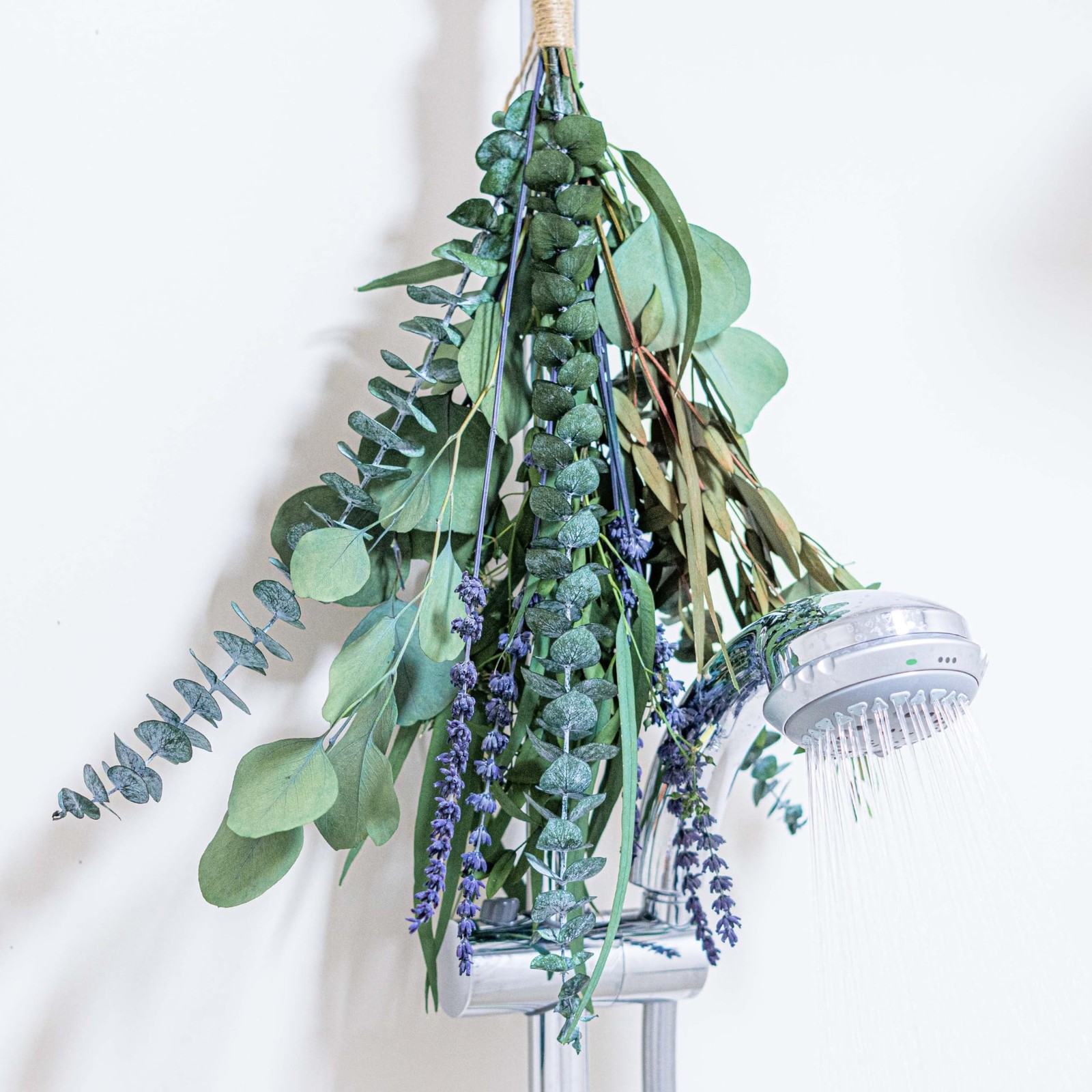 17″ Eucalyptus & Lavender Bundle Real Shower Flowers Natural Home Wedding Decor