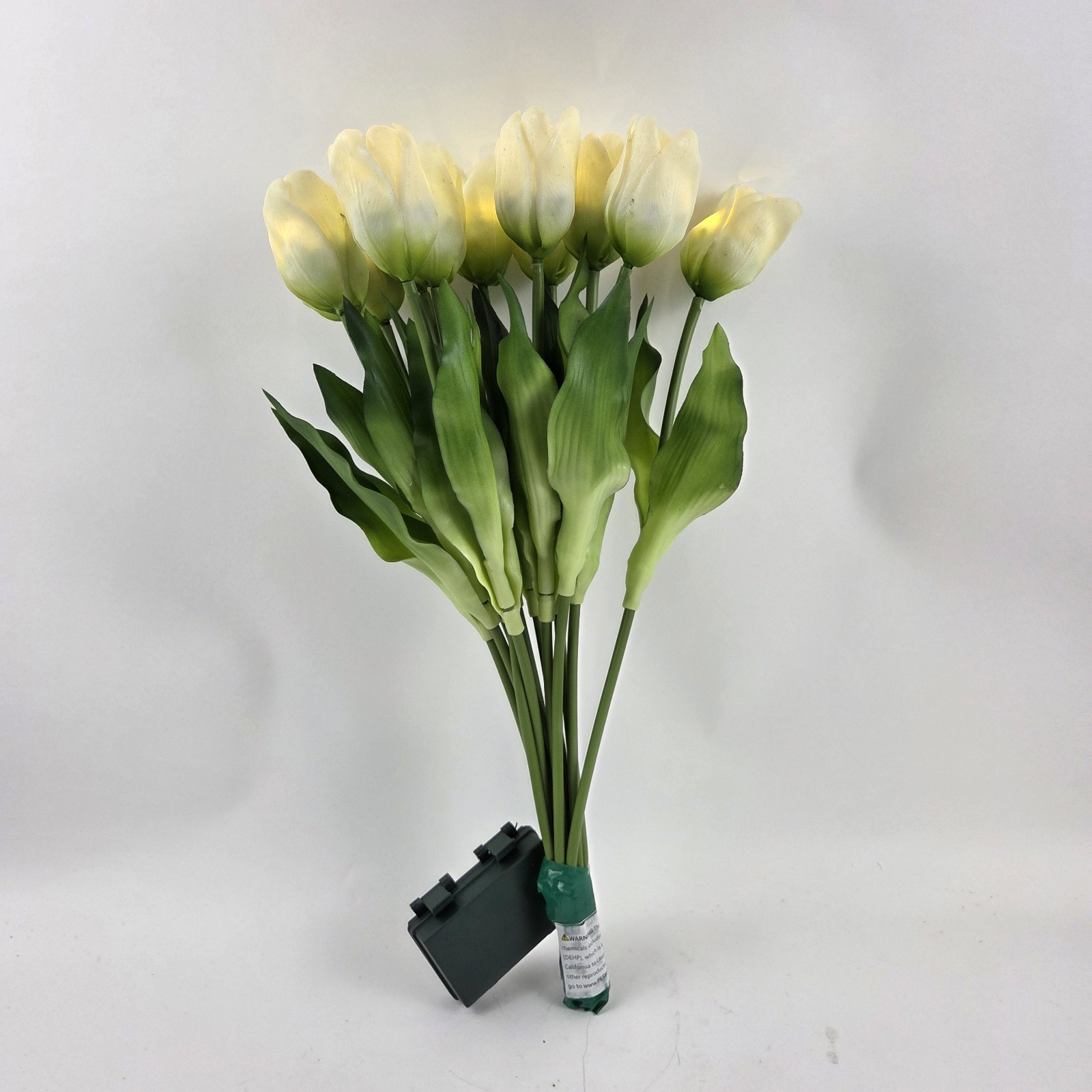 Illuminated Flowers Tulips Bundle Battery Operated Barbara King