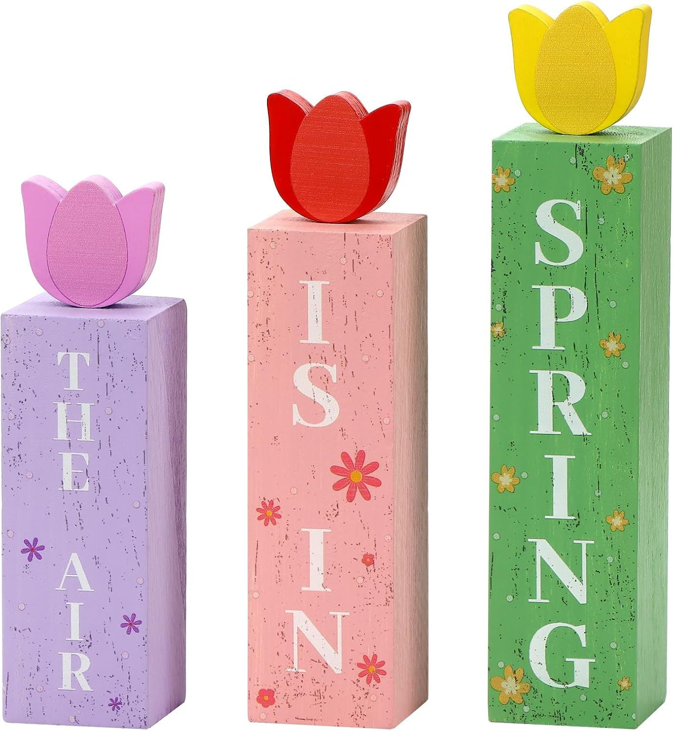 Spring Is In The Air Wooden Sign Set Farmhouse Tiered Tray Decor 3pc