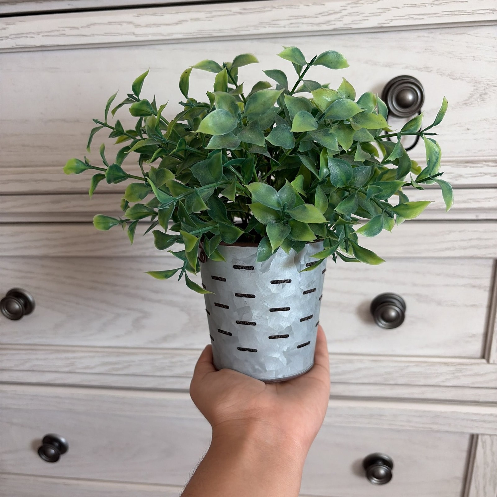 Flora Bunda Artificial Tea Leaf in Blue and White Footed Ceramic Pot