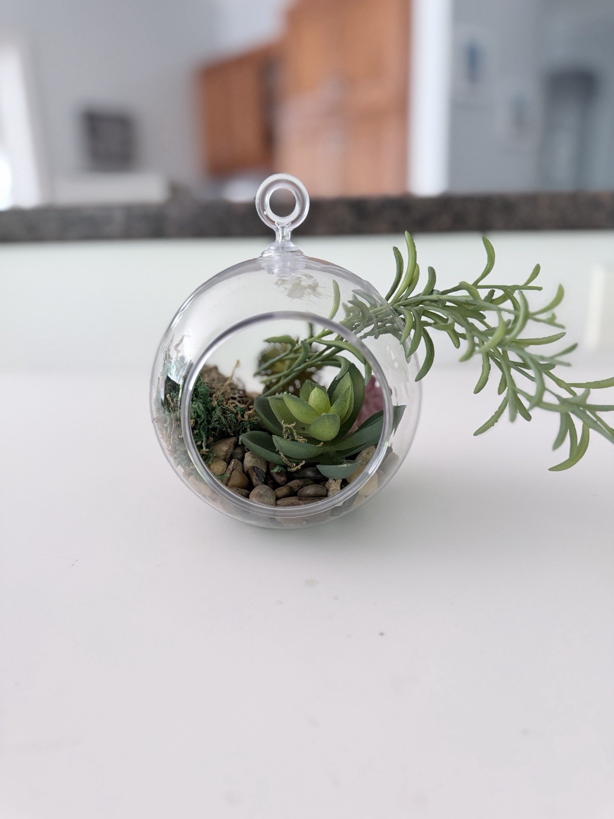Clear Plastic Containers With Faux Plants With Rocks
