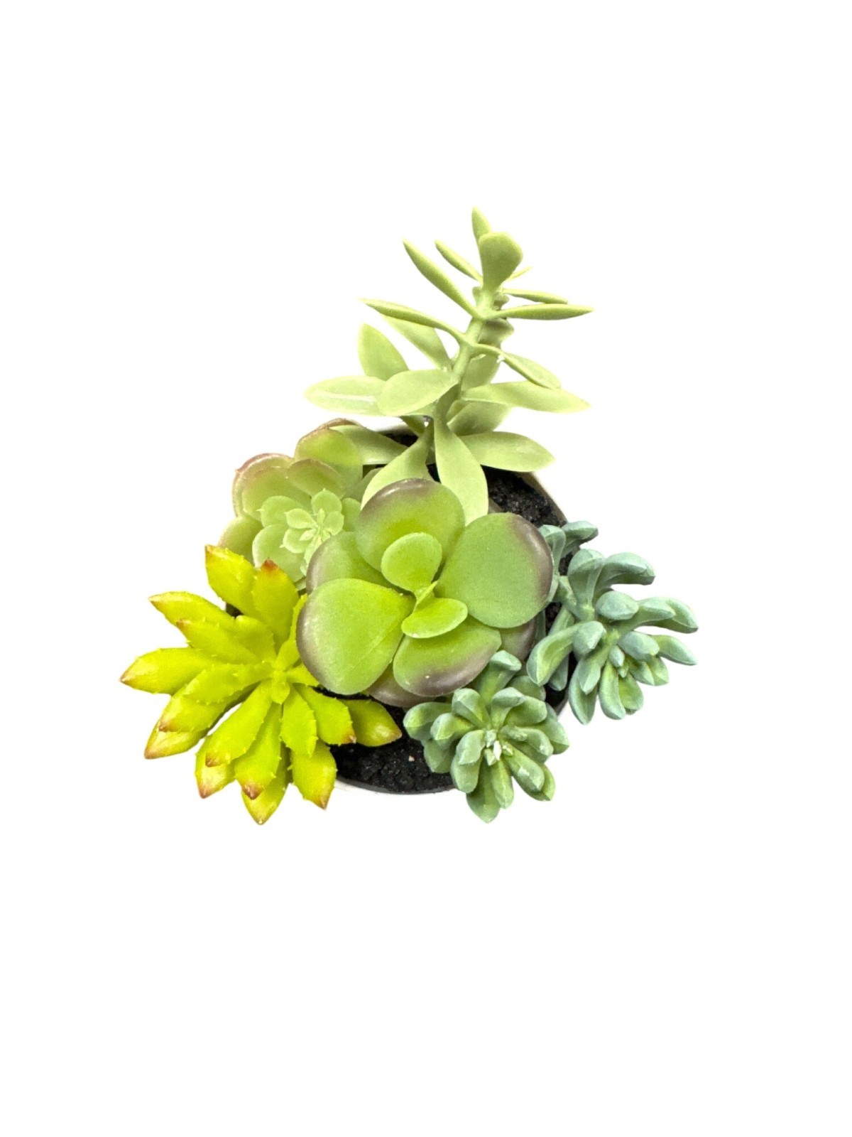 Threshold Artificial Succulent Plants In White Ceramic Pot For Home & Office Dec