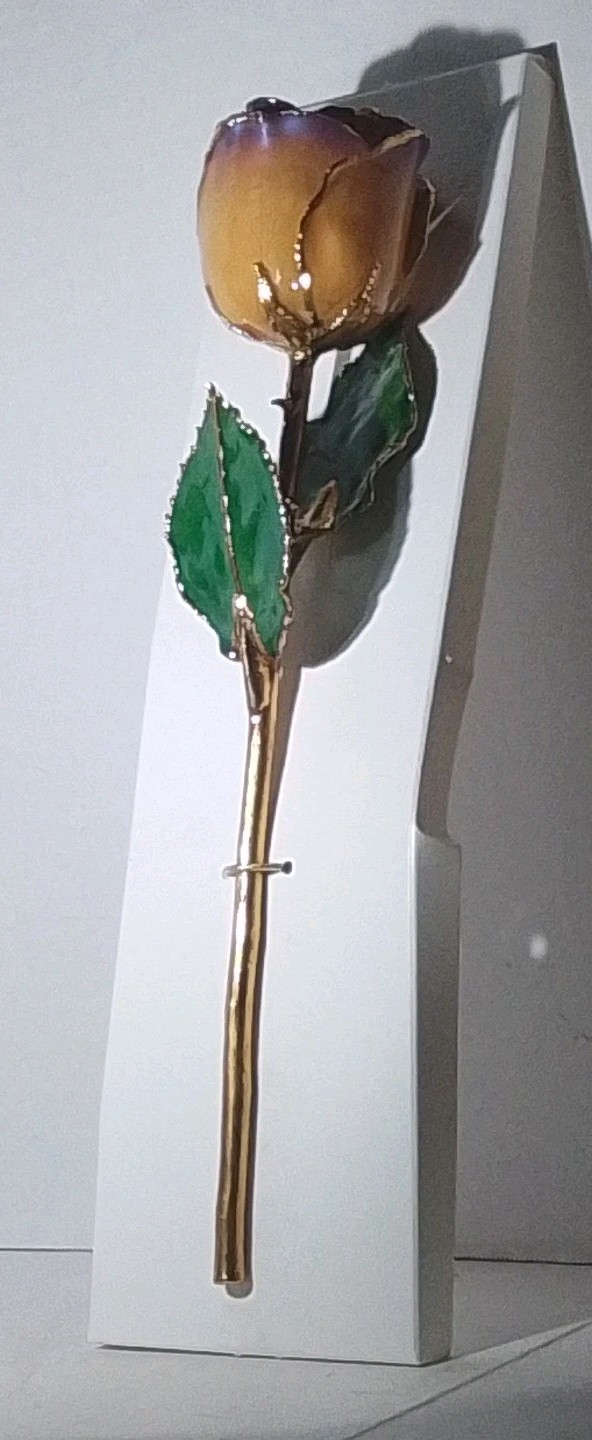 Real Rose Preserved In 24K Gold – Yellow w/Violet Tip