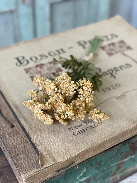 Fennel Flower Bundle – Mustard – Artificial Flowers