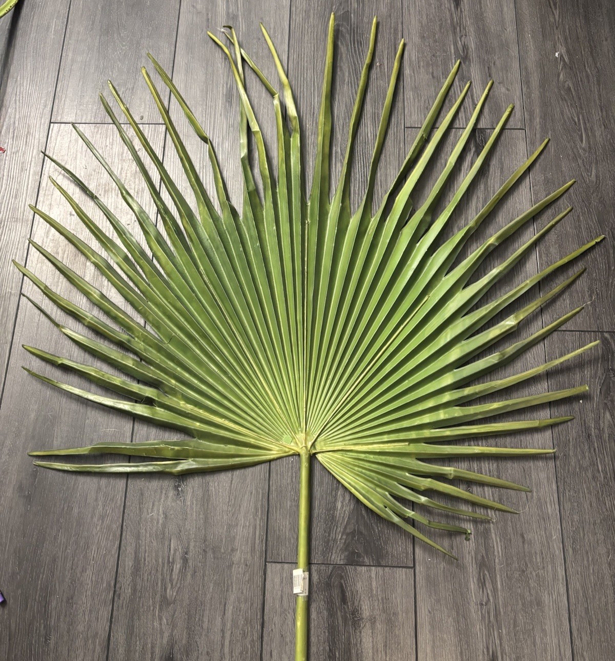 Large Fan Palm Leaf Stem 58” Tropical Boho Coastal Wedding Home Decor Prop