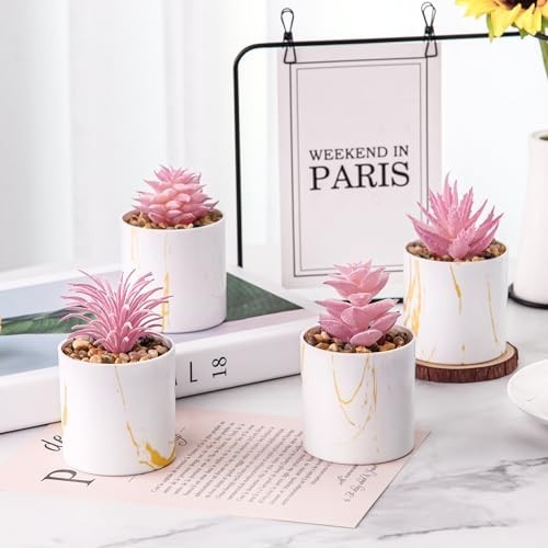 Set of 4 Artificial Succulent Plants – Pink Desk Decor for Office & Home, Gifts