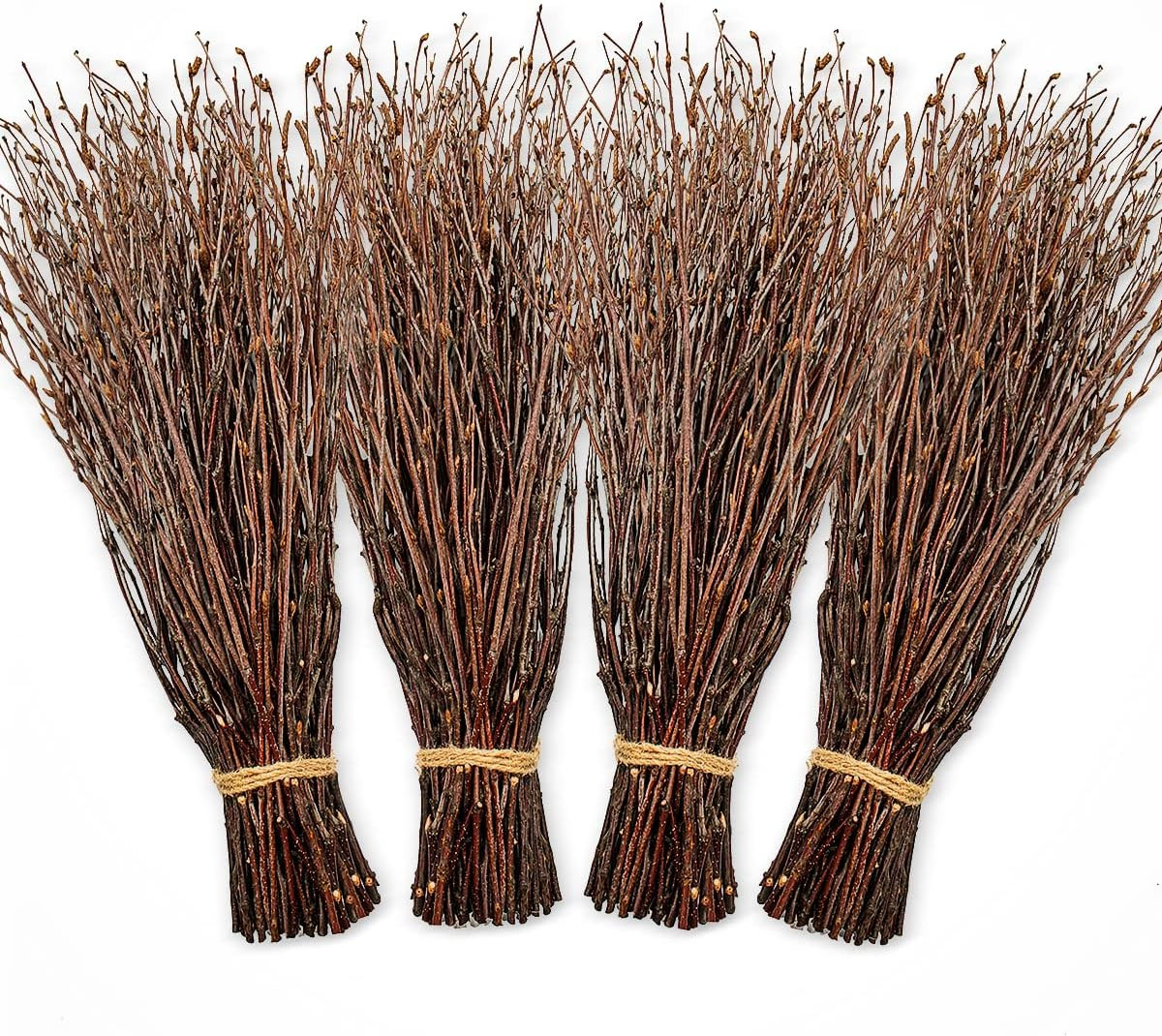 200Pcs Birch Twigs 100% Natural Birch Branches for Decorating, DIY Crafts