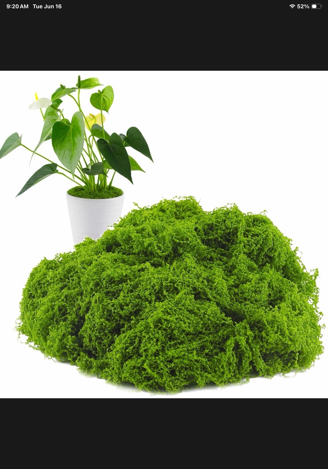 15 Ounces Fake Moss for Plants, Dual-Color Artificial Moss for Crafts