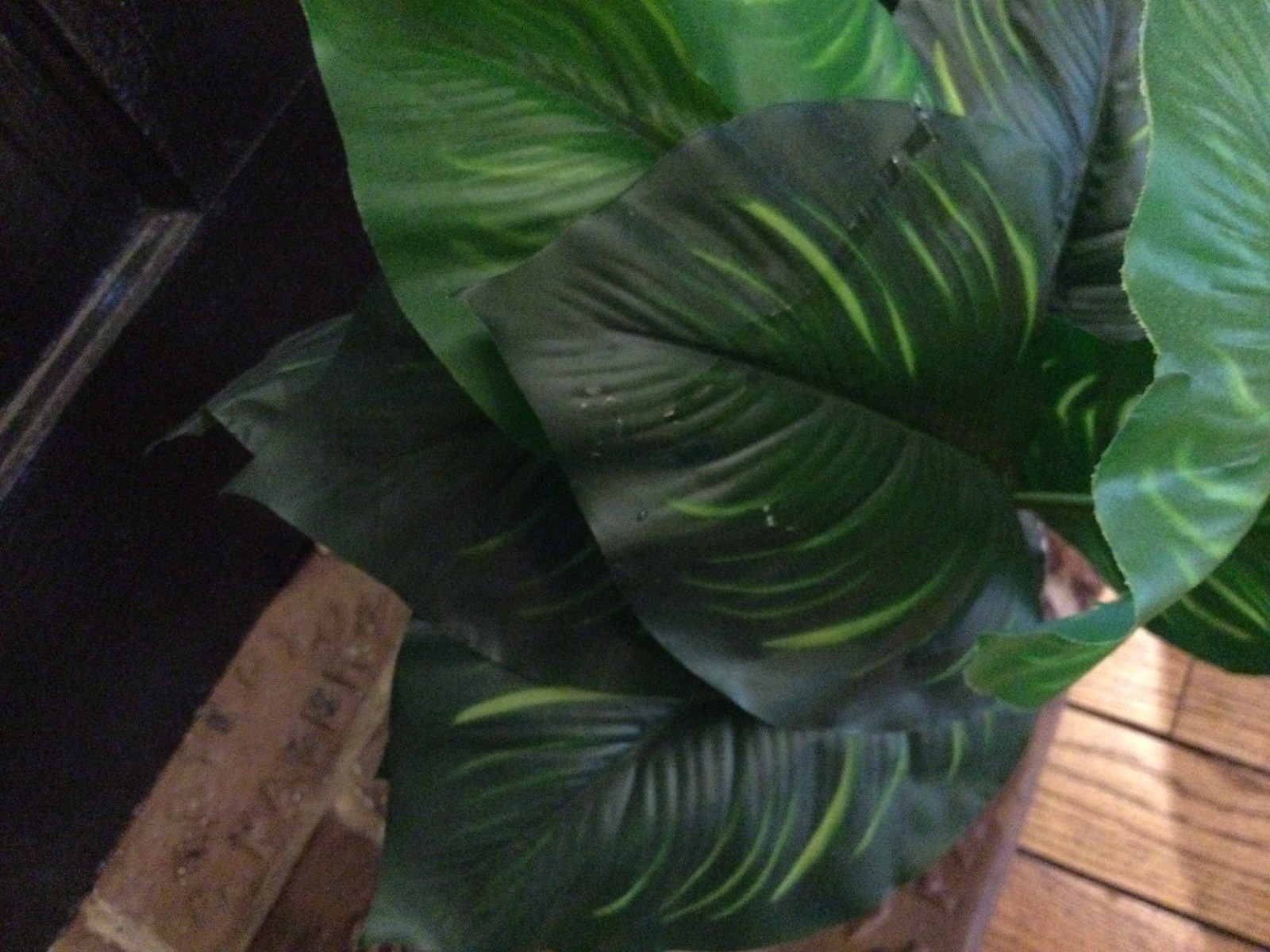 2 Small Artificial Fake Faux Plants➕Pots➕Stones 🌱Monstera➕Apple Leaf 📏16” Tall