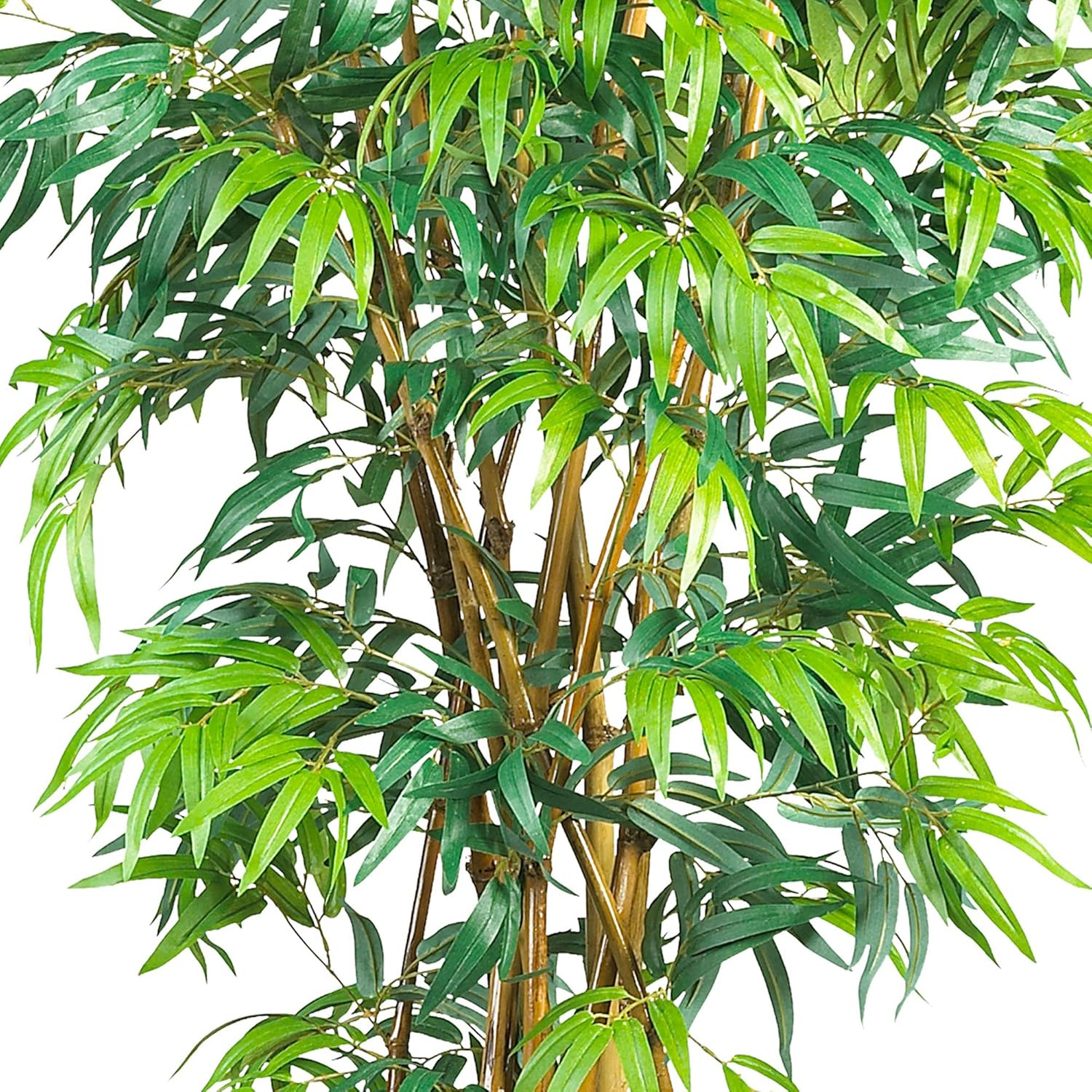 Lifelike 6Ft Curved Bamboo Silk Tree – Perfect for Home or Office Decor