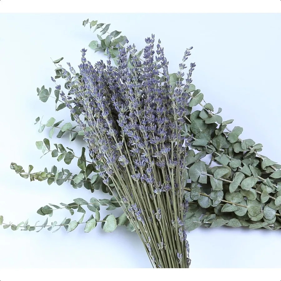 17” Natural Real Dried Eucalyptus Stems & Lavender Flowers Bundle for Shower