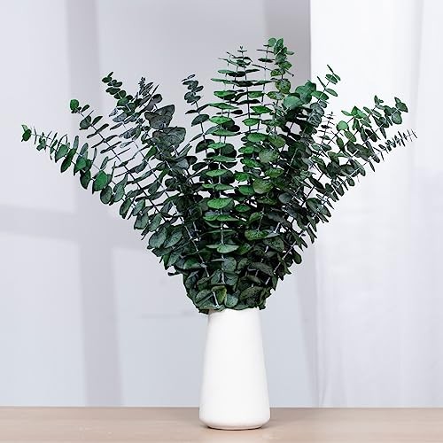 16 Pcs Dried Eucalyptus Stems, 17” Natural Fresh Eucalyptus Leaves Green