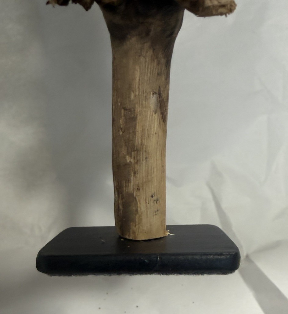 Rare Guatemala Wooden Tree Flower / Tree Ear on Iron Stand.