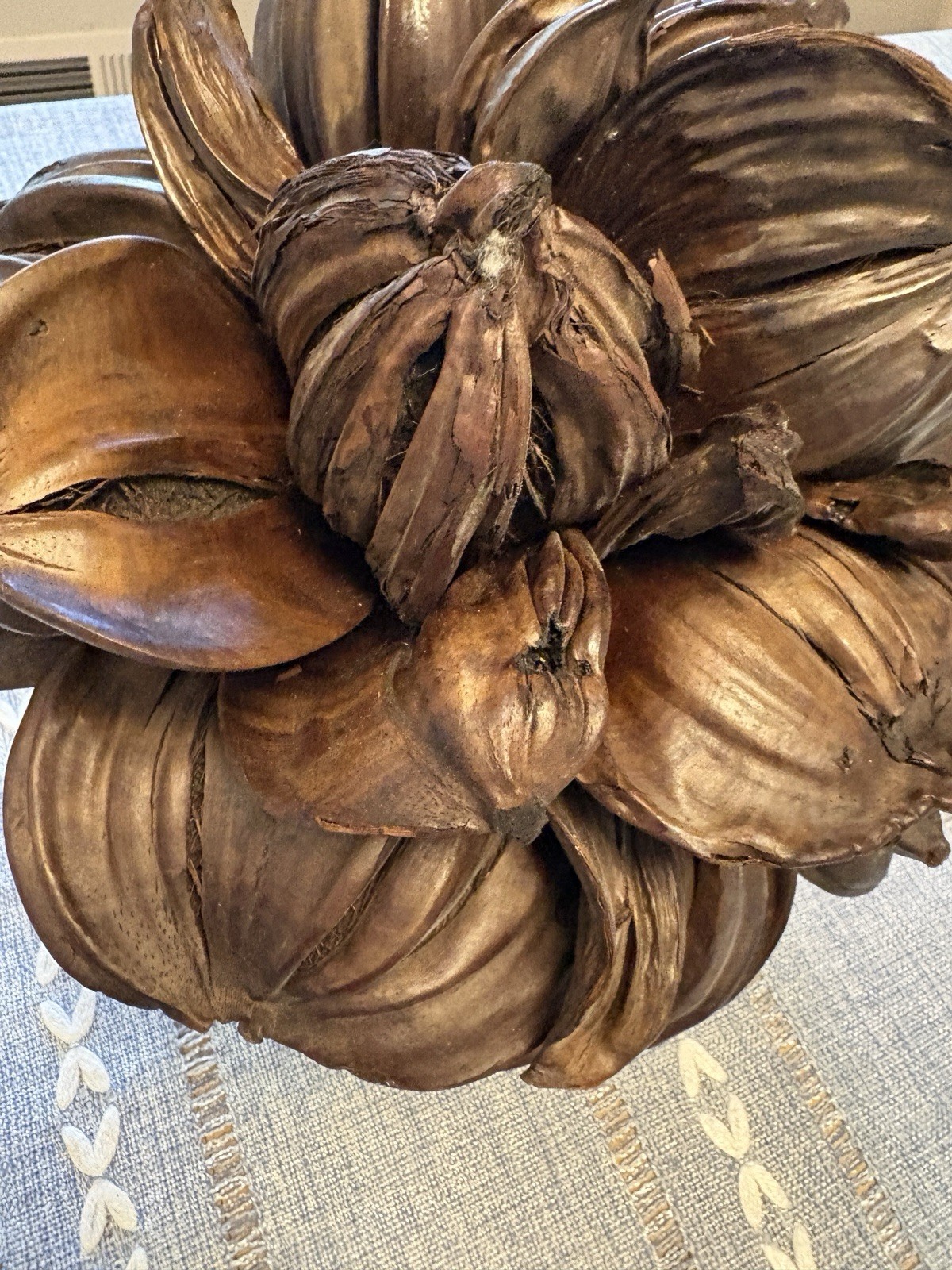 Vietnamese Water Coconut Nipa Palm Fruit Cluster Seed Pod Nypa Fruticans