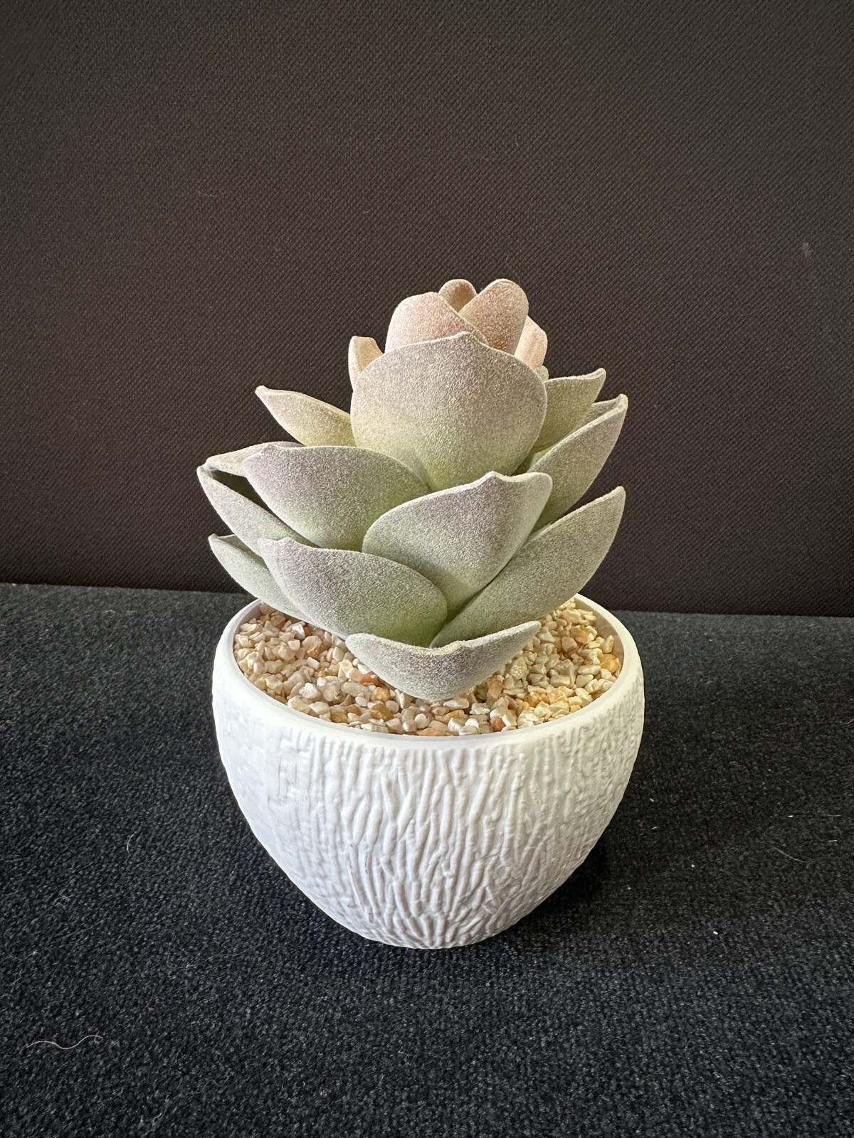 Artificial Succulent Plants in White Ceramic Pot Very Nice Condition