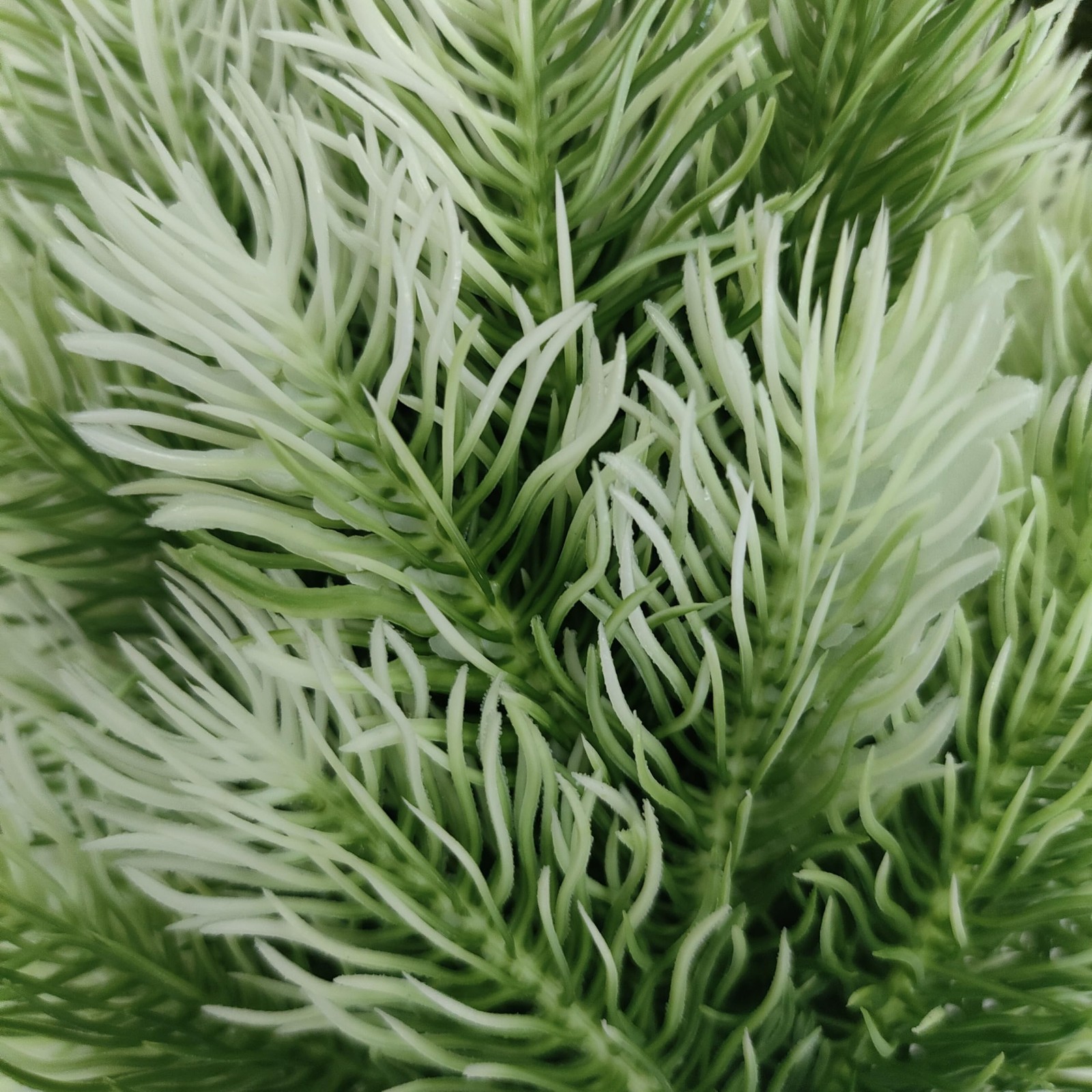 4 Pack Artificial Norfolk Pine Trees with Ground Spike, 14”Small Fake Pine T…