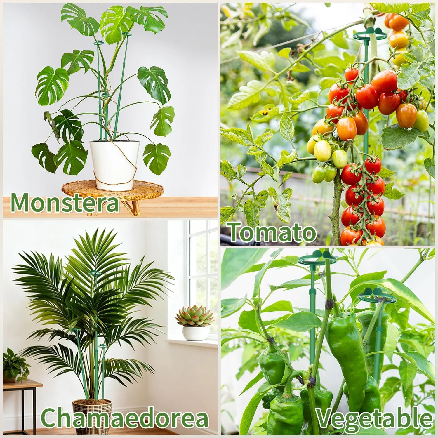 Extendable Plant Stakes,Adjustable Length from 17.9IN to 42.3IN Monstera Support