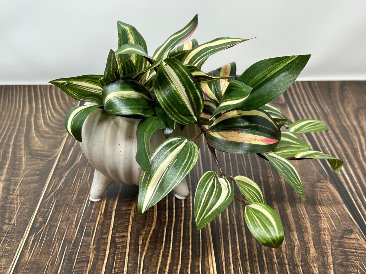 6″ Small PINK JEW faux Silk INCH plant potted in Matte Dot White Ceramic Pot, ha