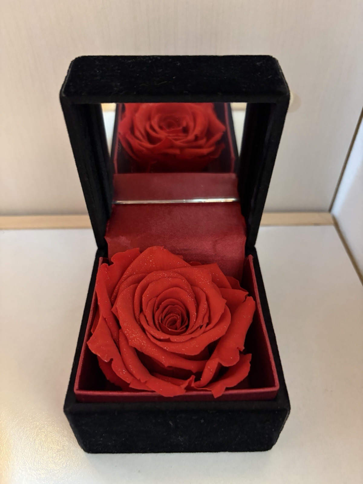 Real Preserved Flower Eternal Rose / Black Velvet Jewelry Box Case [Pre-owned]