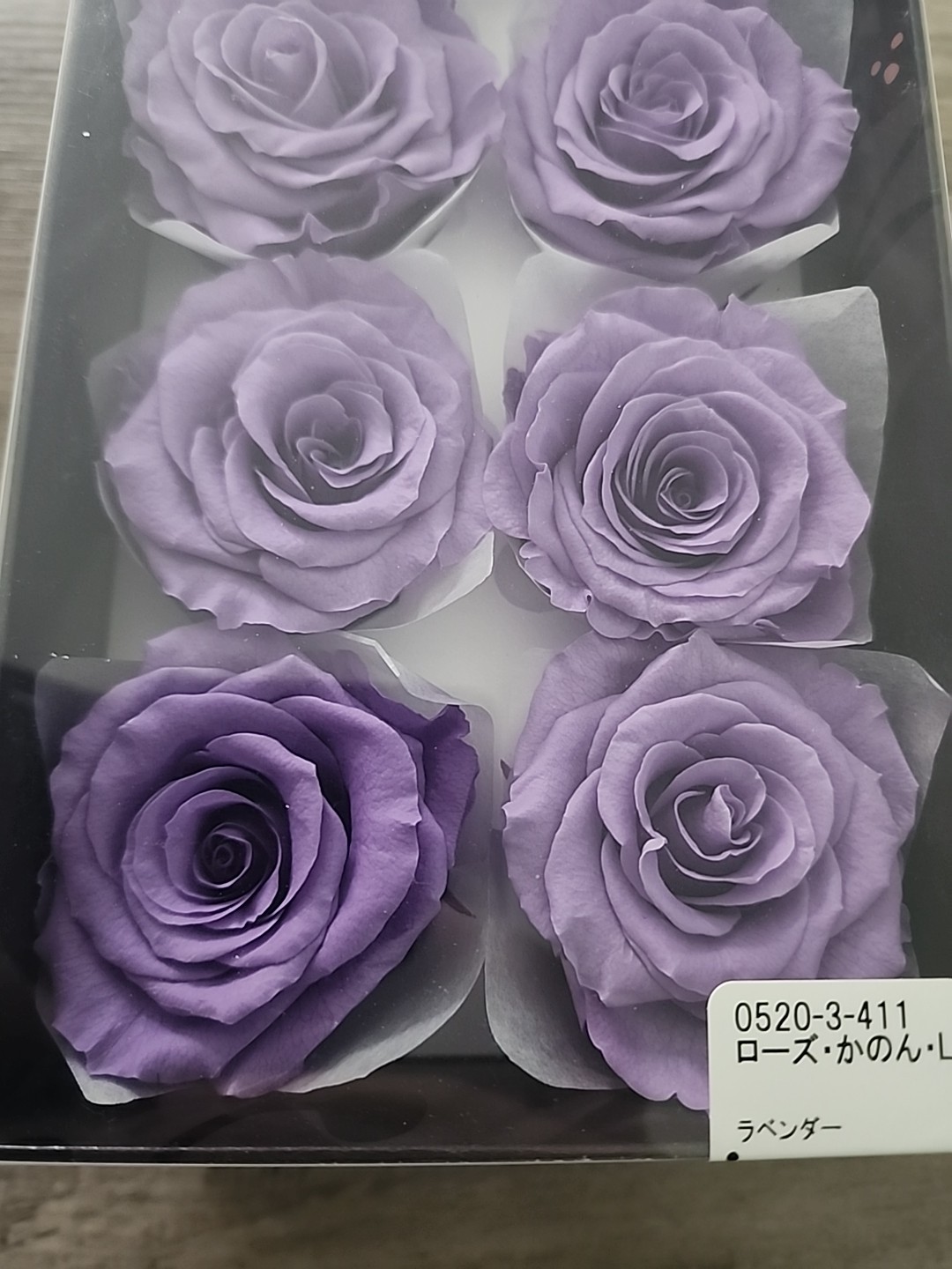 Lot of 8 Preserved Rose Flowers -100% Real -Preserved by Earth Matters PINK
