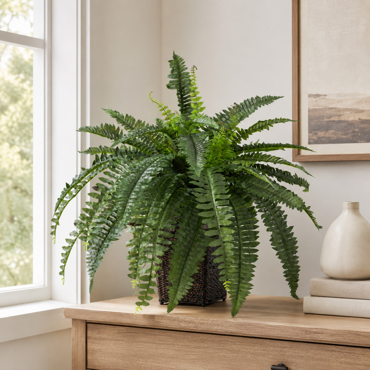 Boston Fern w/Wood Wicker Basket