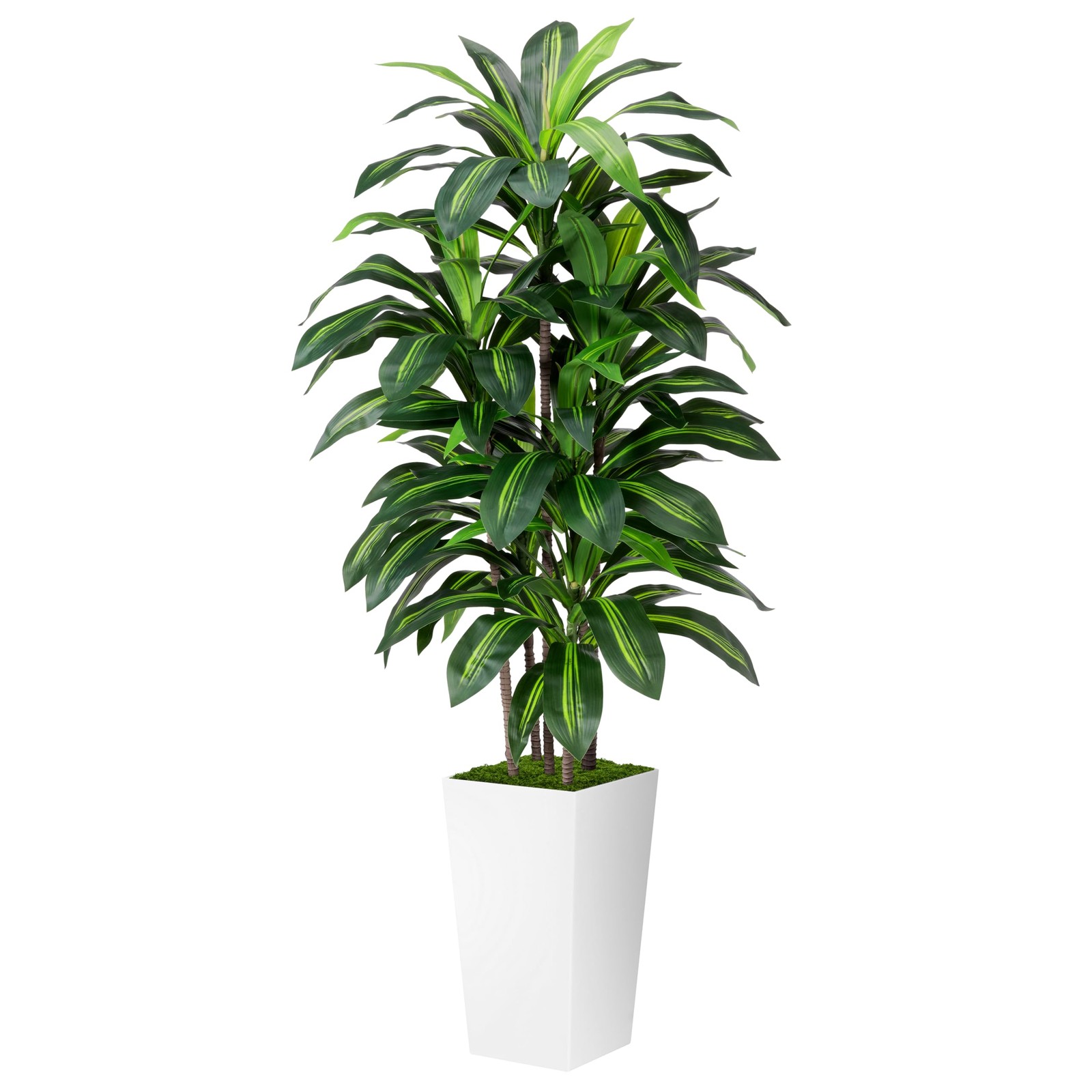 Artificial Dracaena Plant Indoor 5FT – Fake Tree with White Tall Planter – Fa…