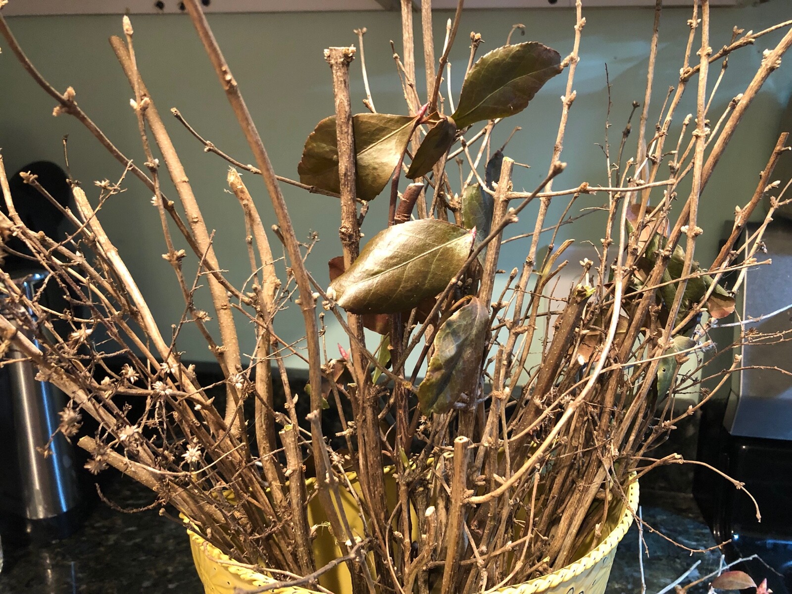Wood Branch Mixed Twig Bunches 6-12″ Variety Med to Fine~Crafts *Farmhouse Decor