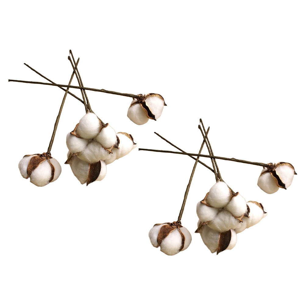White Dried Cotton Flower Stems Natural for Wedding and Home Photography
