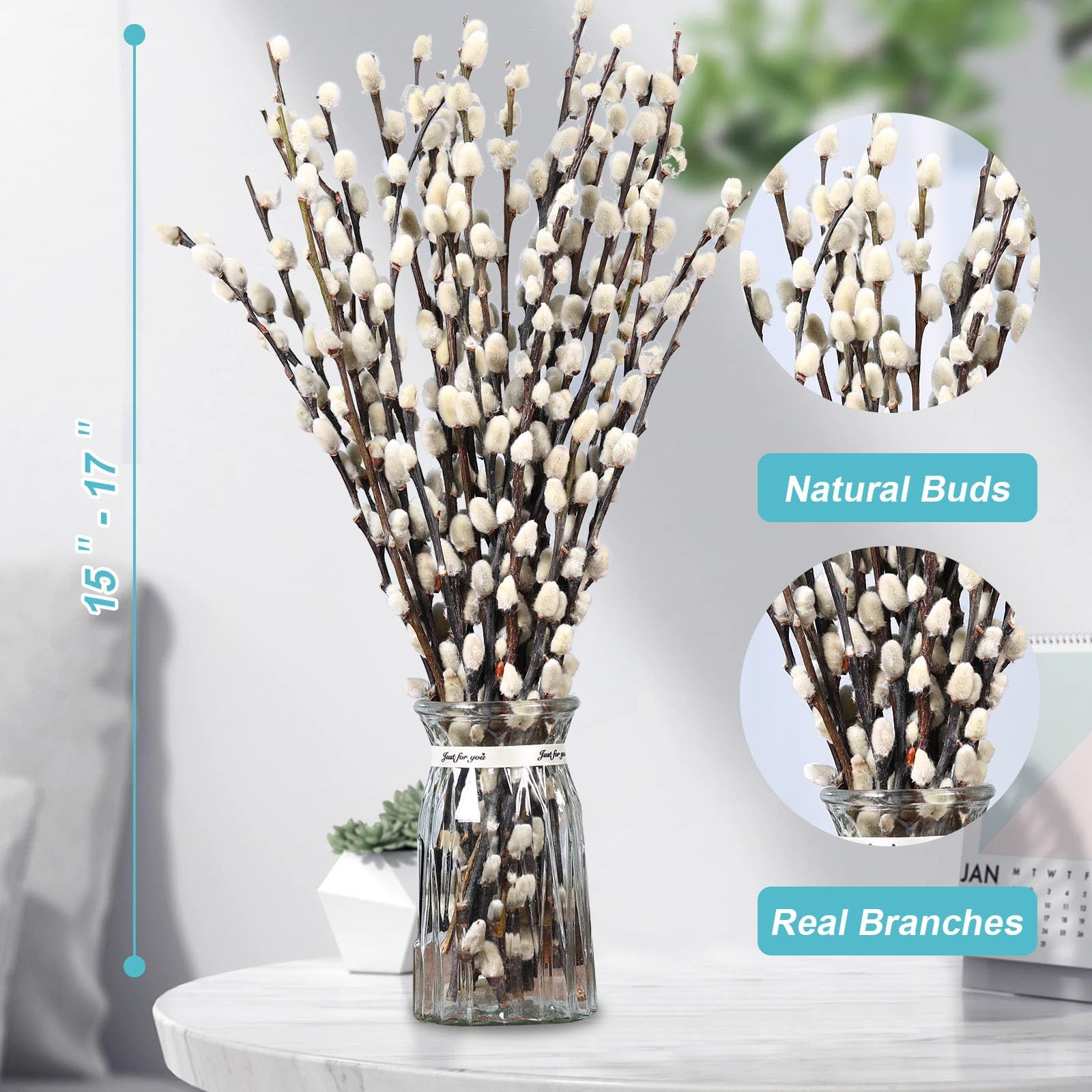 Natural Preserved Dried PussyWillow Branches for Vases, 25 Stems Real Willows…