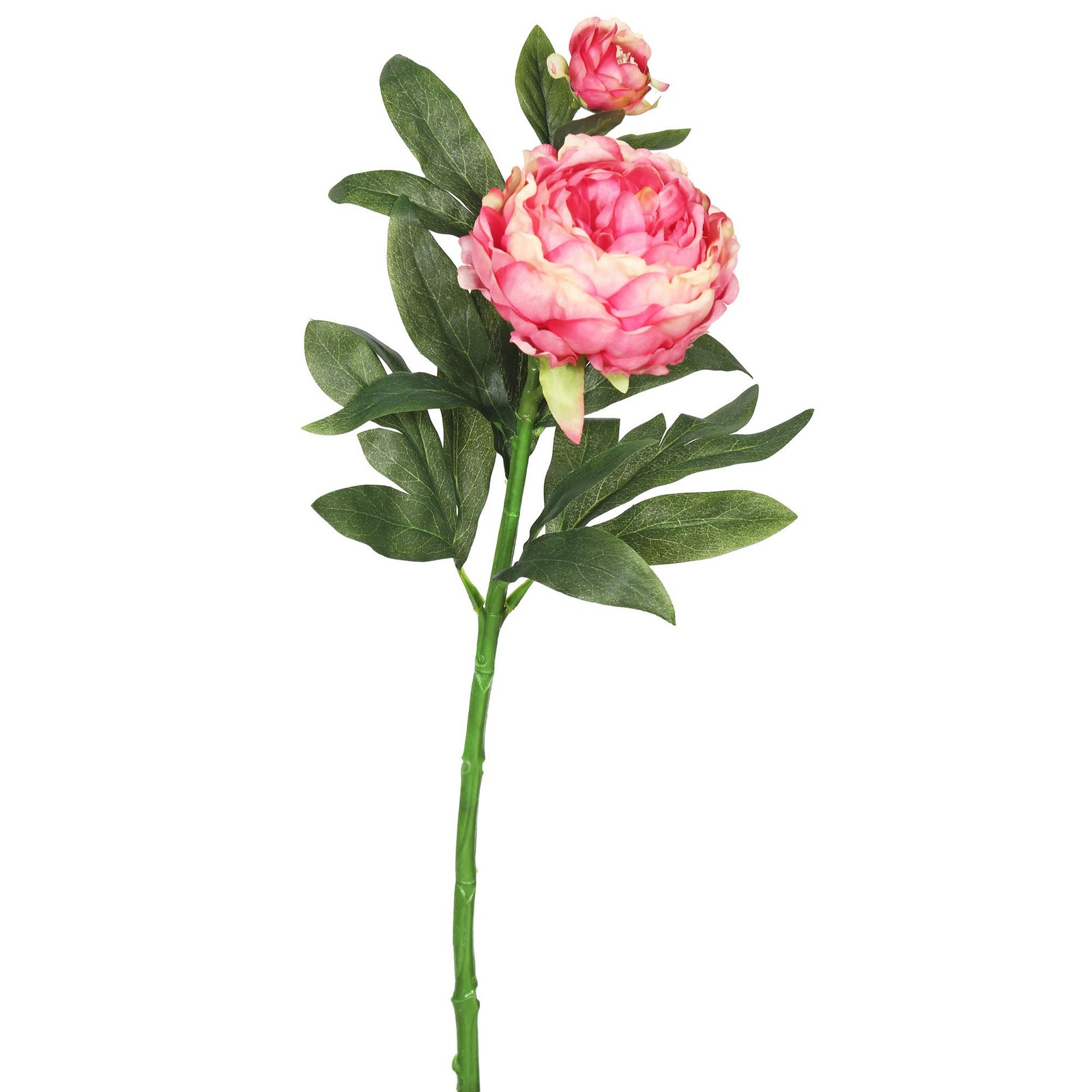 Vickerman 24″ Contemporary Plastic Artificial Peony Stem in Pink (Set of 3)