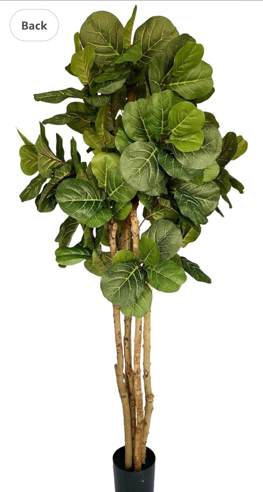 Moss and Bloom 6′ Artificial Fiddle Leaf Fig Tree in Plastic Planter
