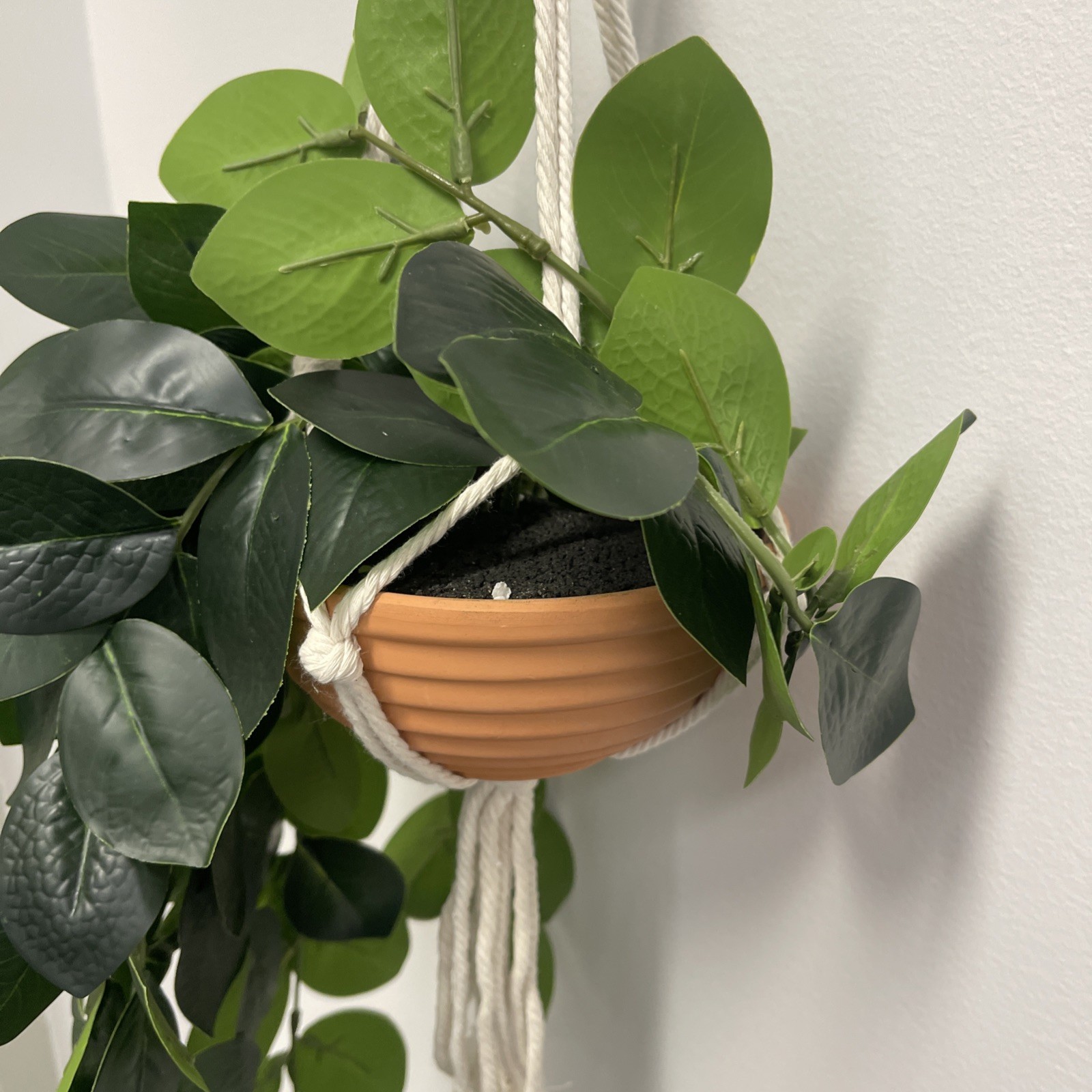 Fake Hanging Plant in Clay Pot – Artificial Hanging Plants Chinese Money Tree