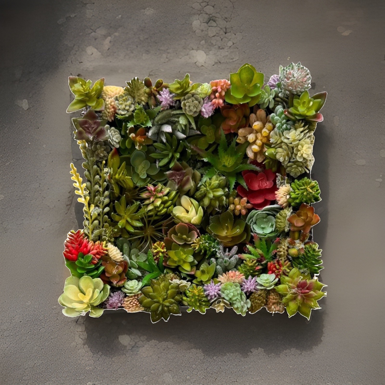 Succulent Wall Art Boho Faux Botanical Decor 8x8x2