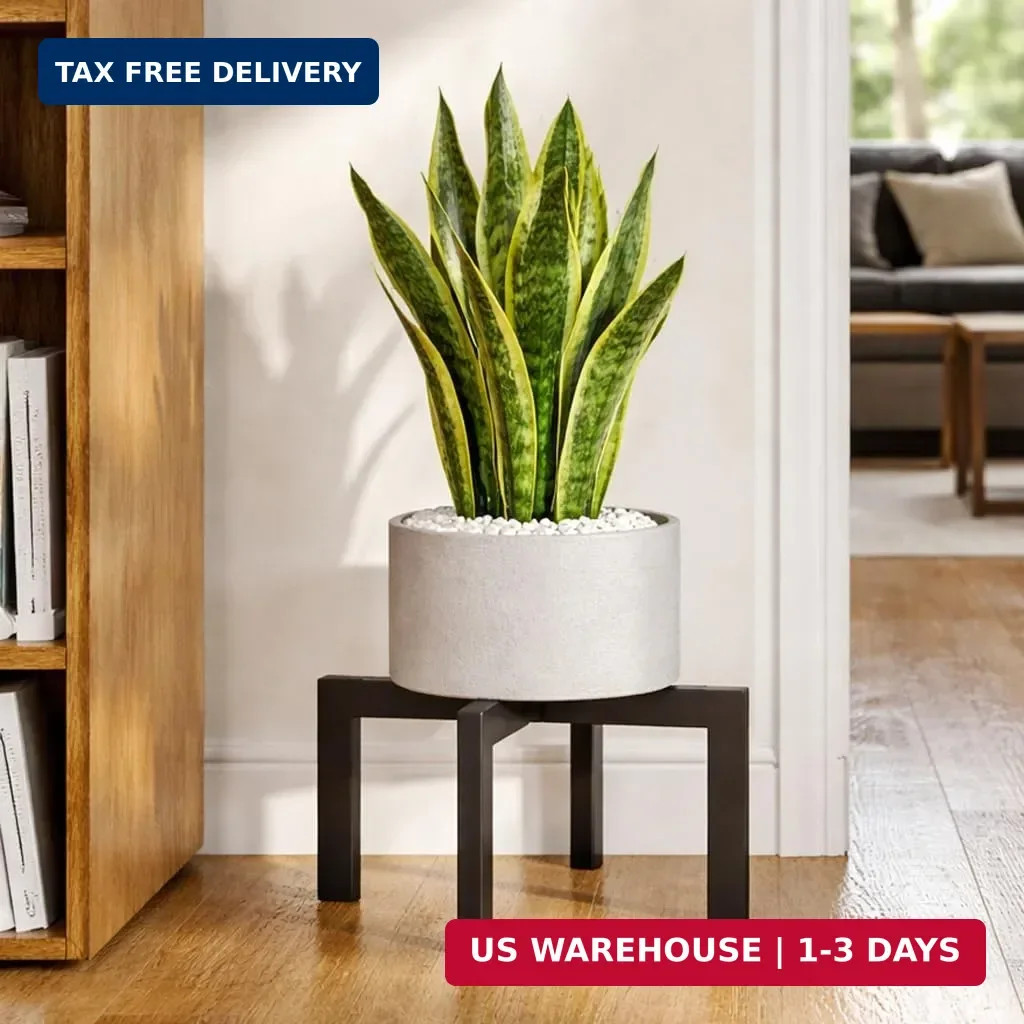Plant Stand Indoor Outdoor Flower Holder Riser Low Profile 150lbs Heavy