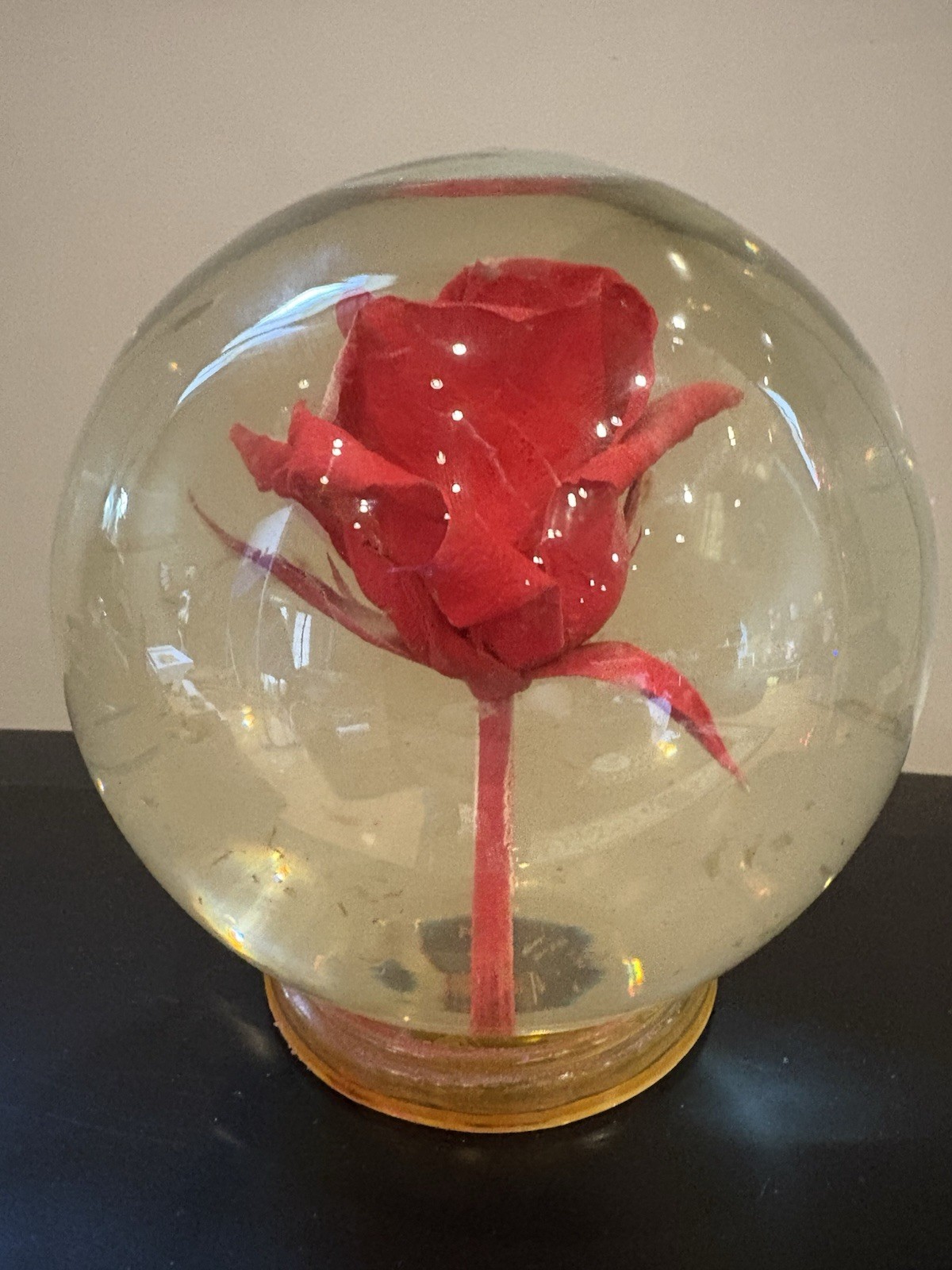 Vintage Preserved Real Rose in Glass Water Dome Globe